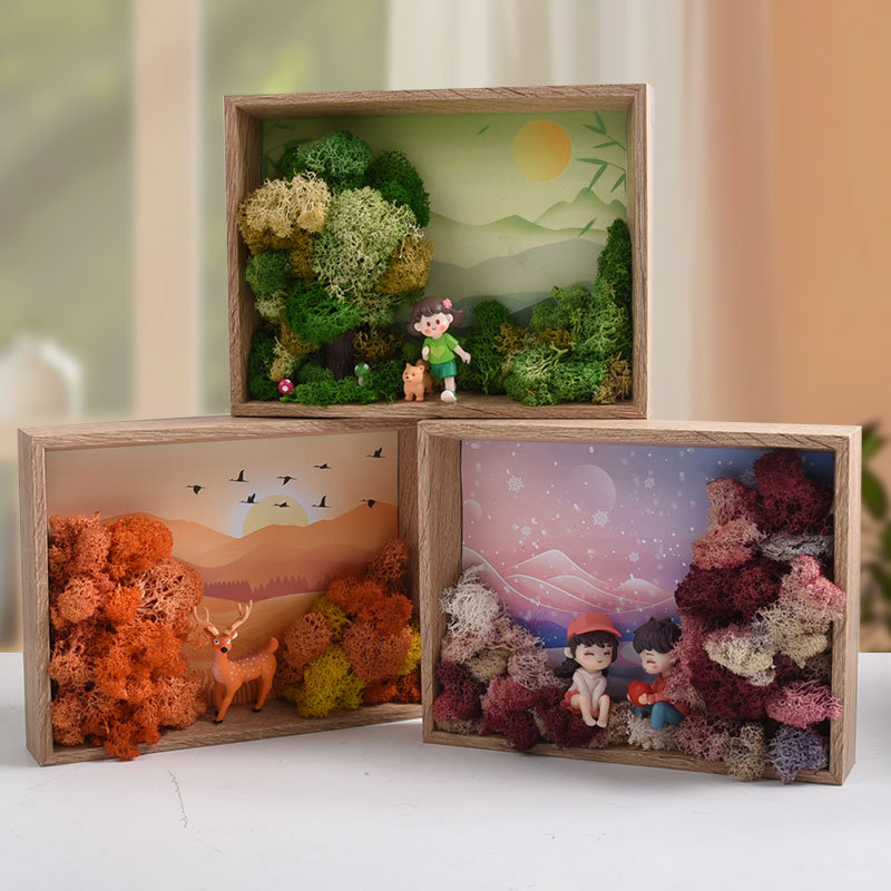 Seaweed Art DIY Kit - 3D Frame - Plant Parent Gift Set ulasan dan harga