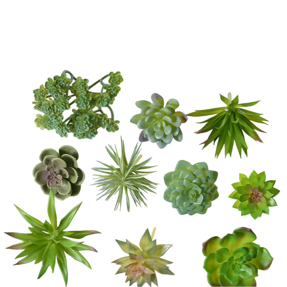 Desk Centerpiece Artificial fo - Succulent Arrangement Mini ulasan dan harga