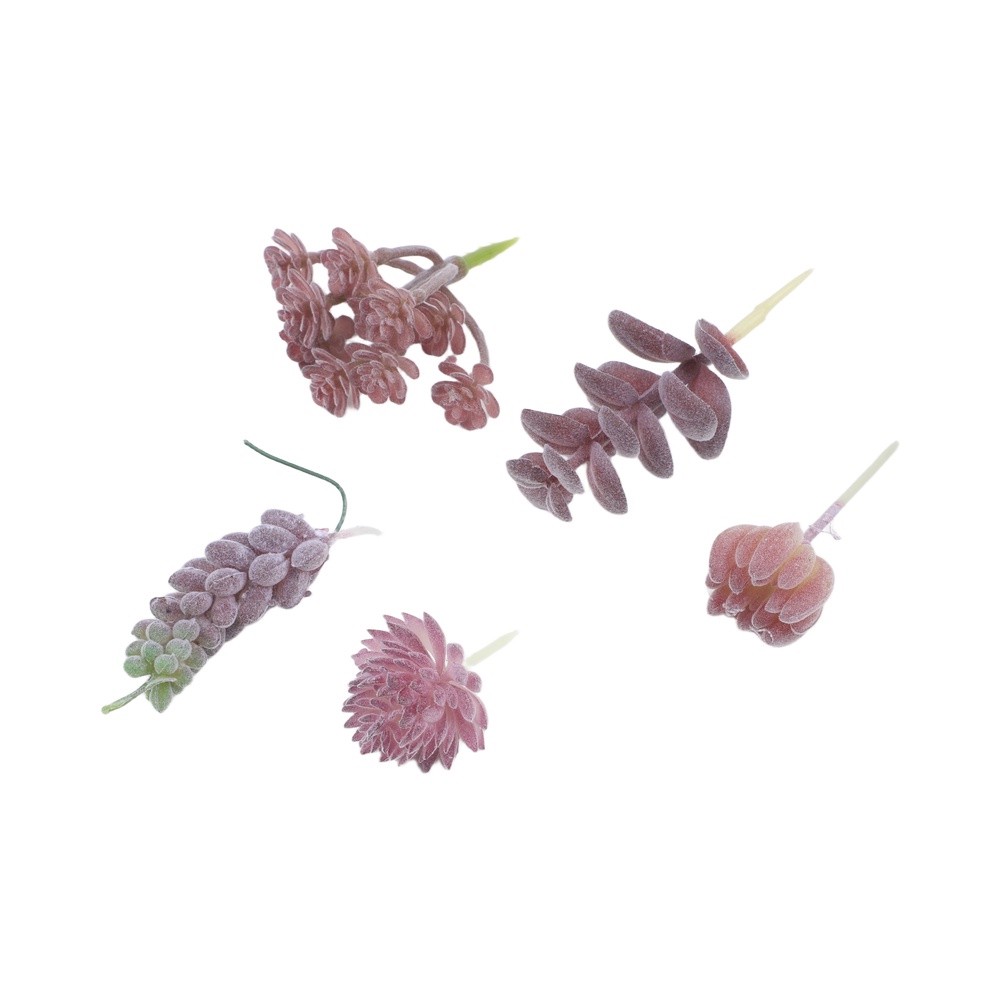 Desk Centerpiece Artificial fo - Succulent Arrangement Mini ulasan dan harga