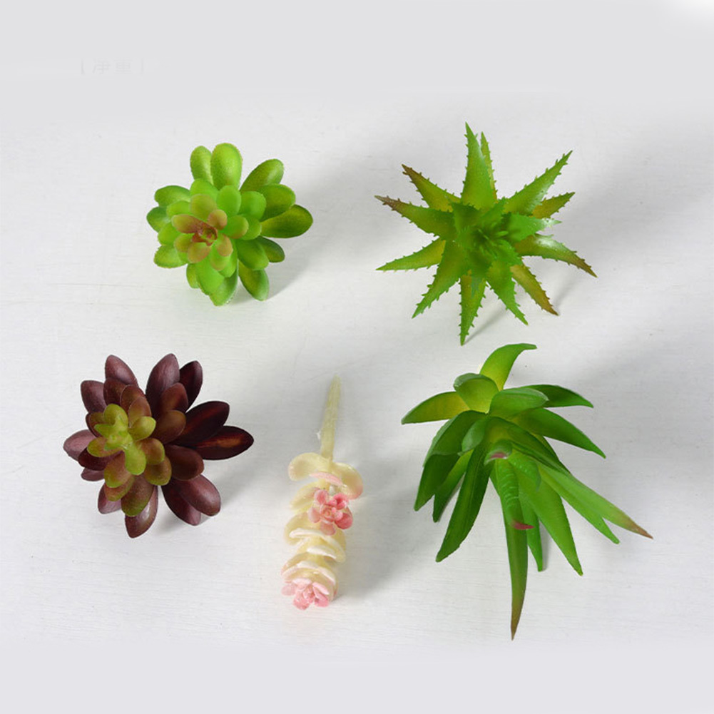 Desk Centerpiece Artificial fo - Succulent Arrangement Mini ulasan dan harga