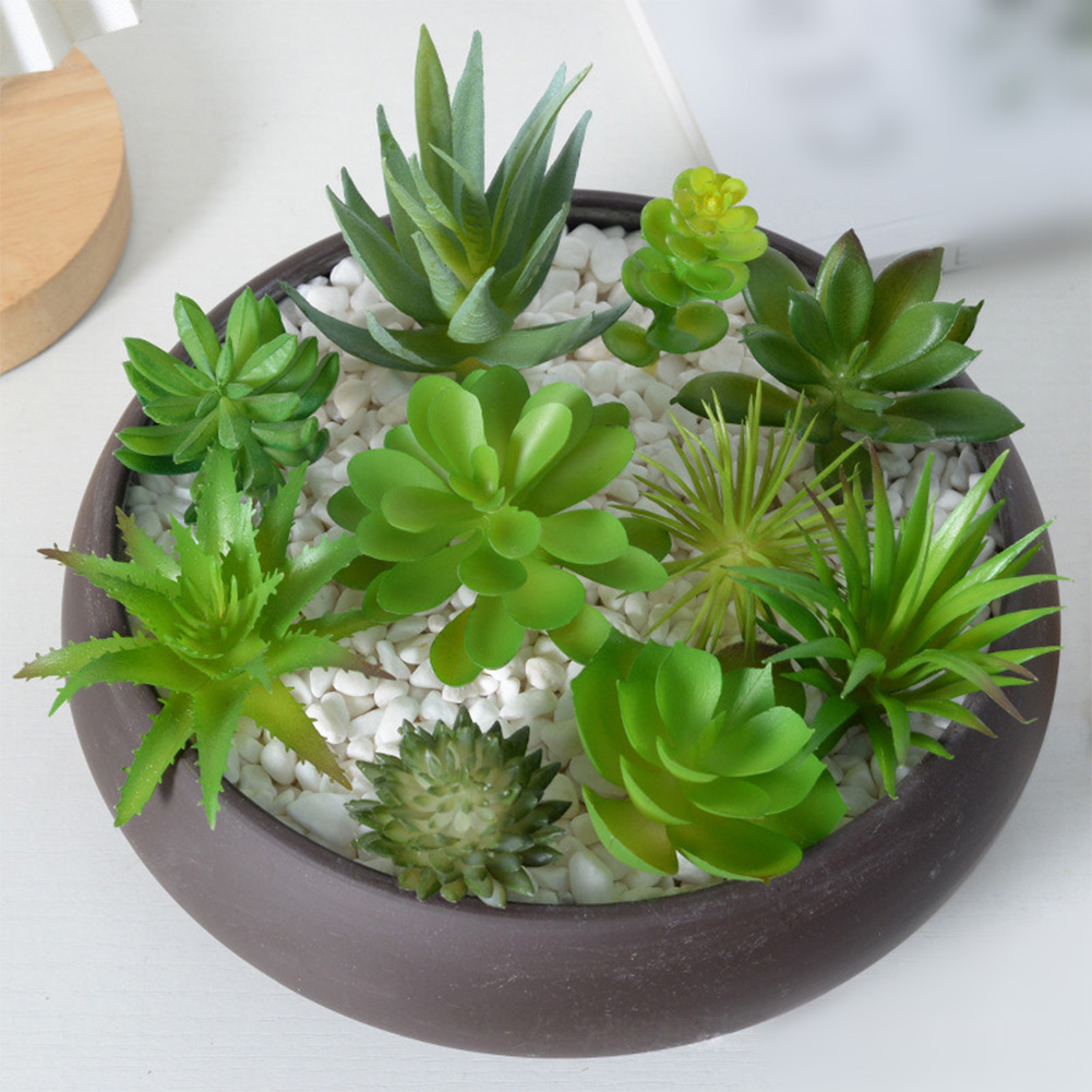 Artificial For Mini Bonsai Suc - Succulent Arrangement Mini ulasan dan harga