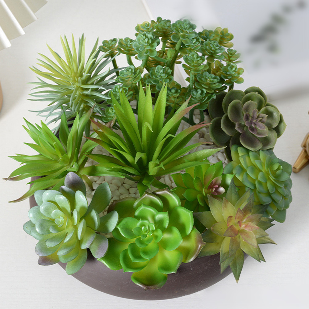 Artificial For Mini Bonsai Suc - Succulent Arrangement Mini ulasan dan harga