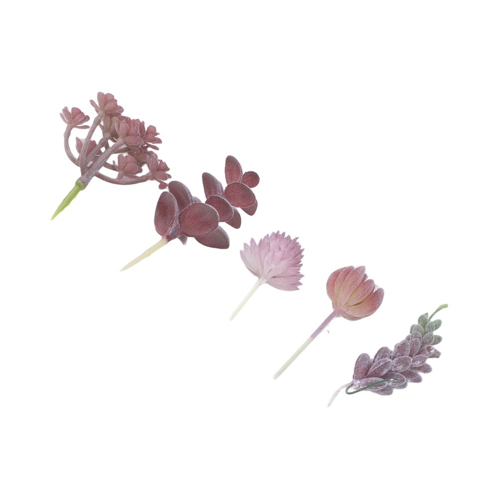 Artificial For Mini Bonsai Suc - Succulent Arrangement Mini ulasan dan harga