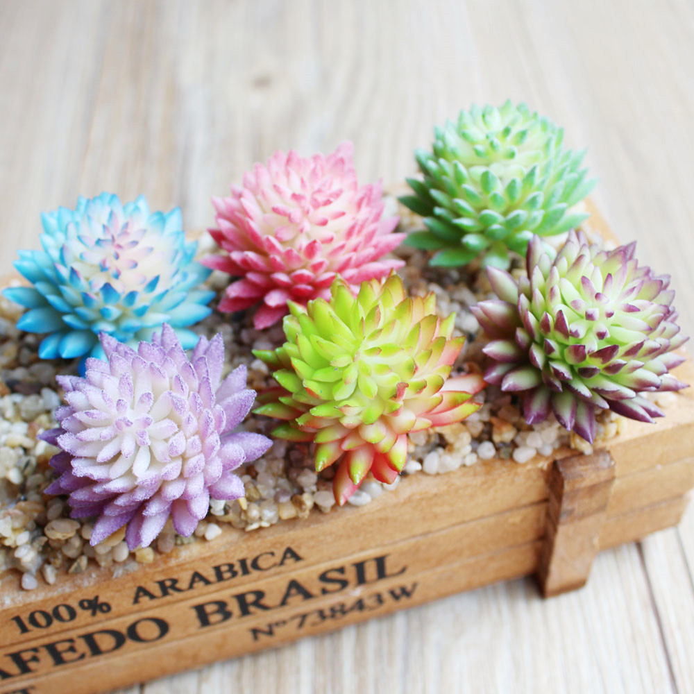 Artificial Succulent Flocking  - Succulent Arrangement Mini ulasan dan harga