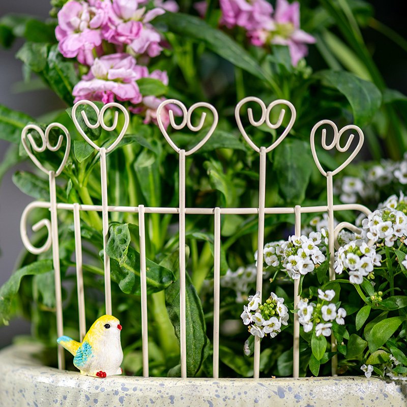 Whimsical Mini Iron FlowerPot  - Succulent Arrangement Mini ulasan dan harga