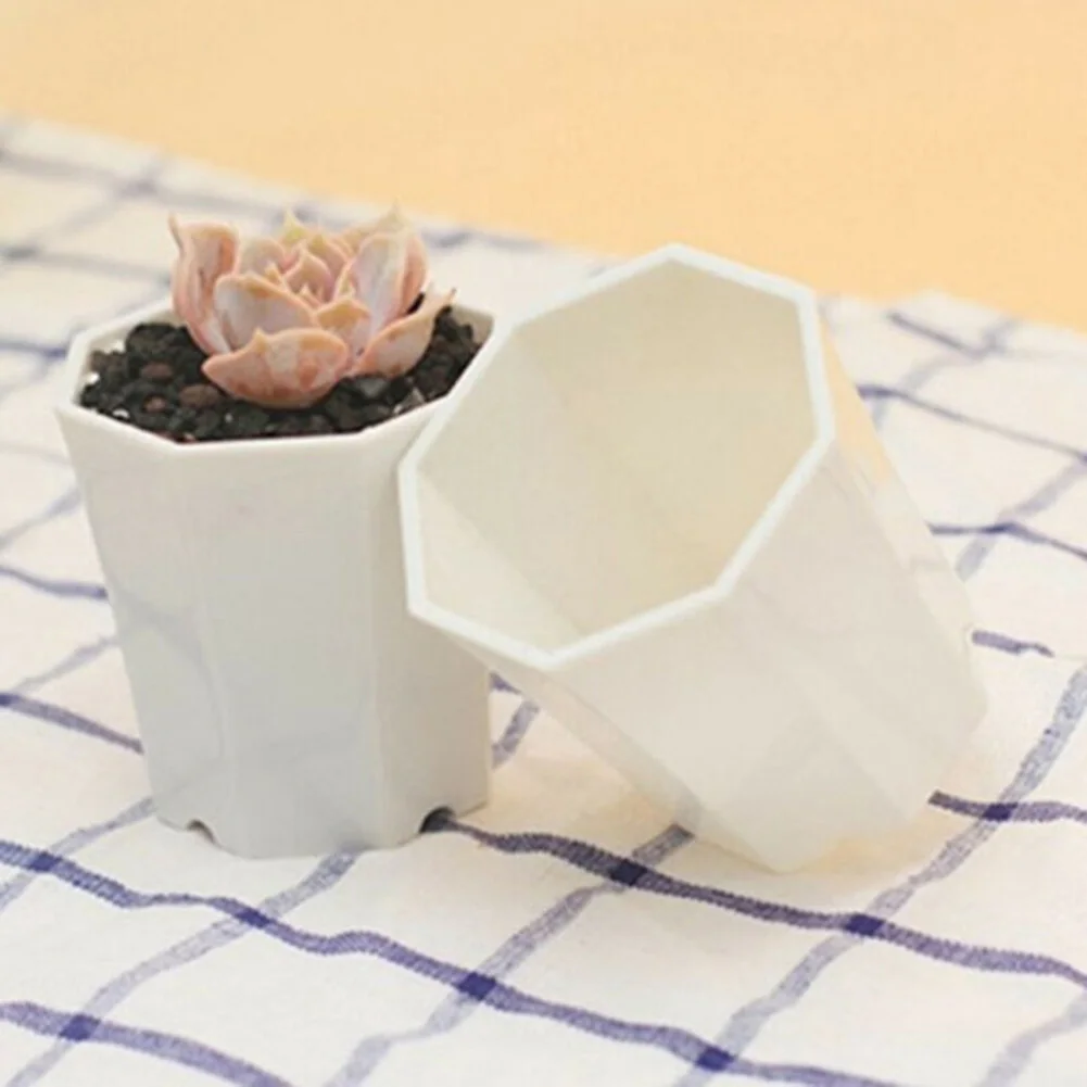 10pcs Plastic For Mini Flower  - Succulent Arrangement Mini ulasan dan harga