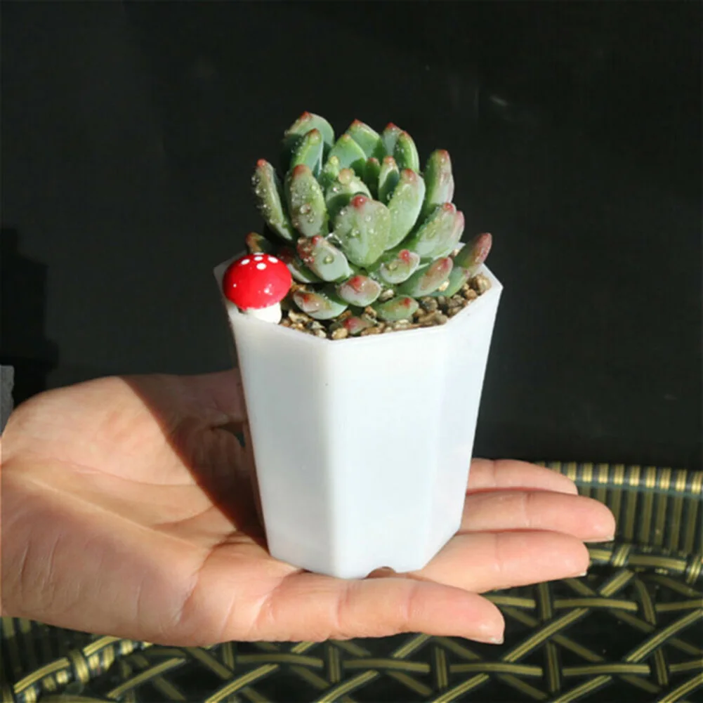 10pcs Plastic For Mini Flower  - Succulent Arrangement Mini ulasan dan harga