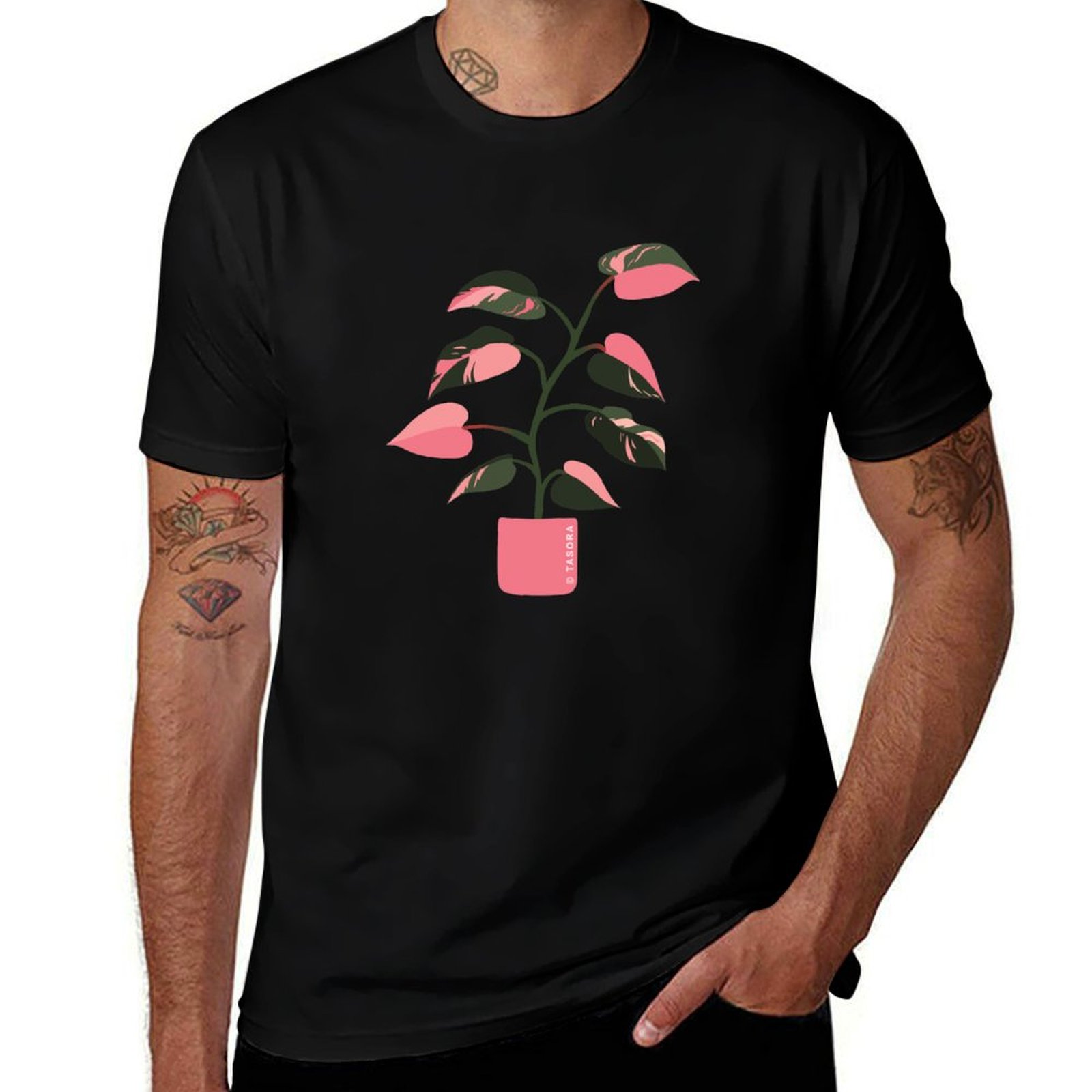 Philodendron Pink Princess Art - Philodendron Pink Princess ulasan dan harga
