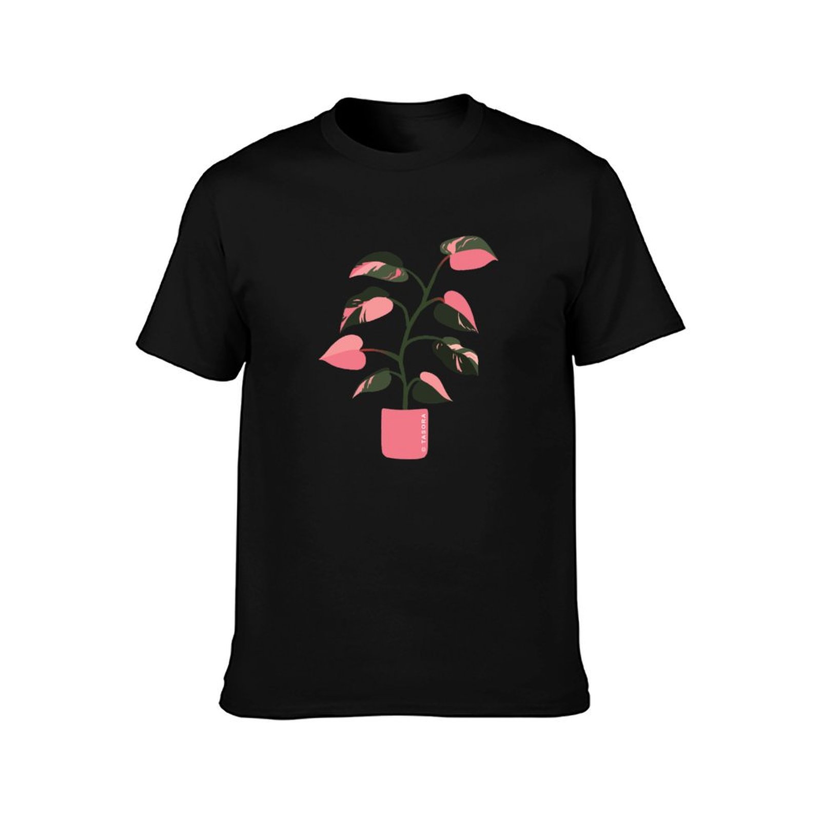 Philodendron Pink Princess Art - Philodendron Pink Princess ulasan dan harga