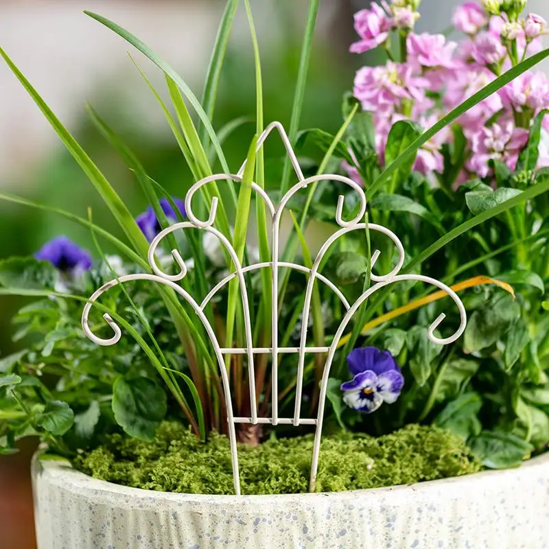 Whimsical Mini Iron FlowerPot  - Succulent Arrangement Mini ulasan dan harga