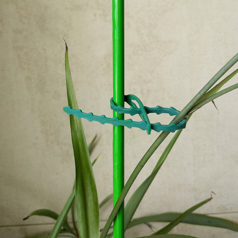 50/100Pcs Reusable Garden Cabl - Plant Parent Tools ulasan dan harga