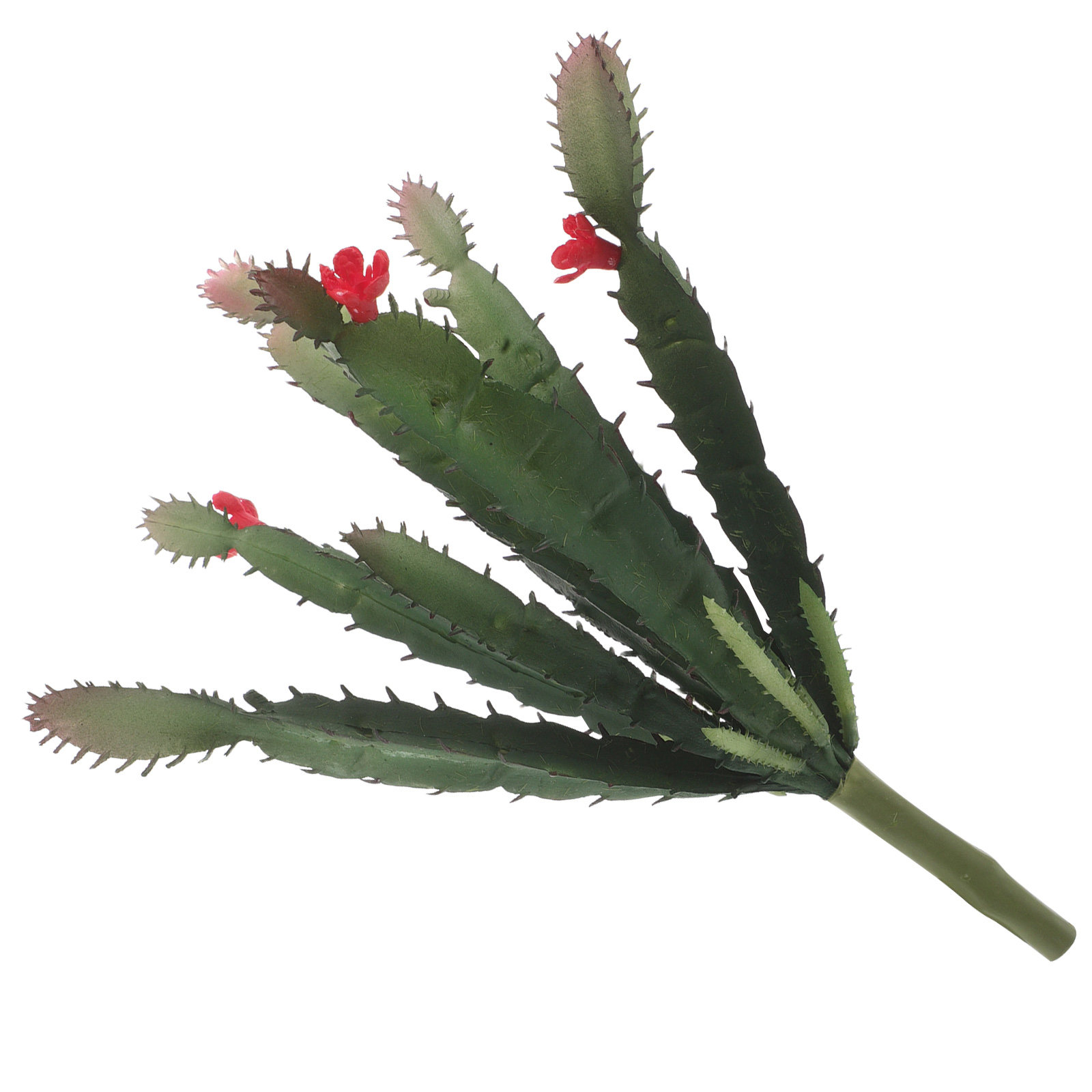Mini Artificial Succulent Cact - Succulent Arrangement Mini ulasan dan harga