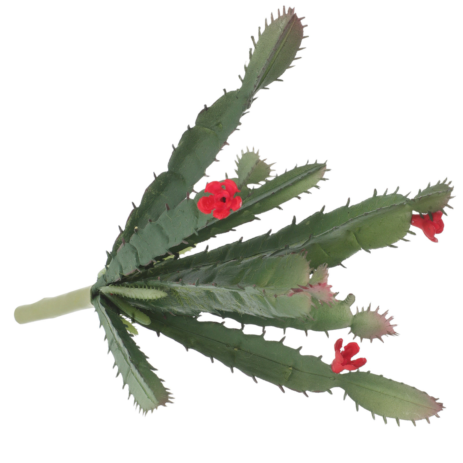 Mini Artificial Succulent Cact - Succulent Arrangement Mini ulasan dan harga