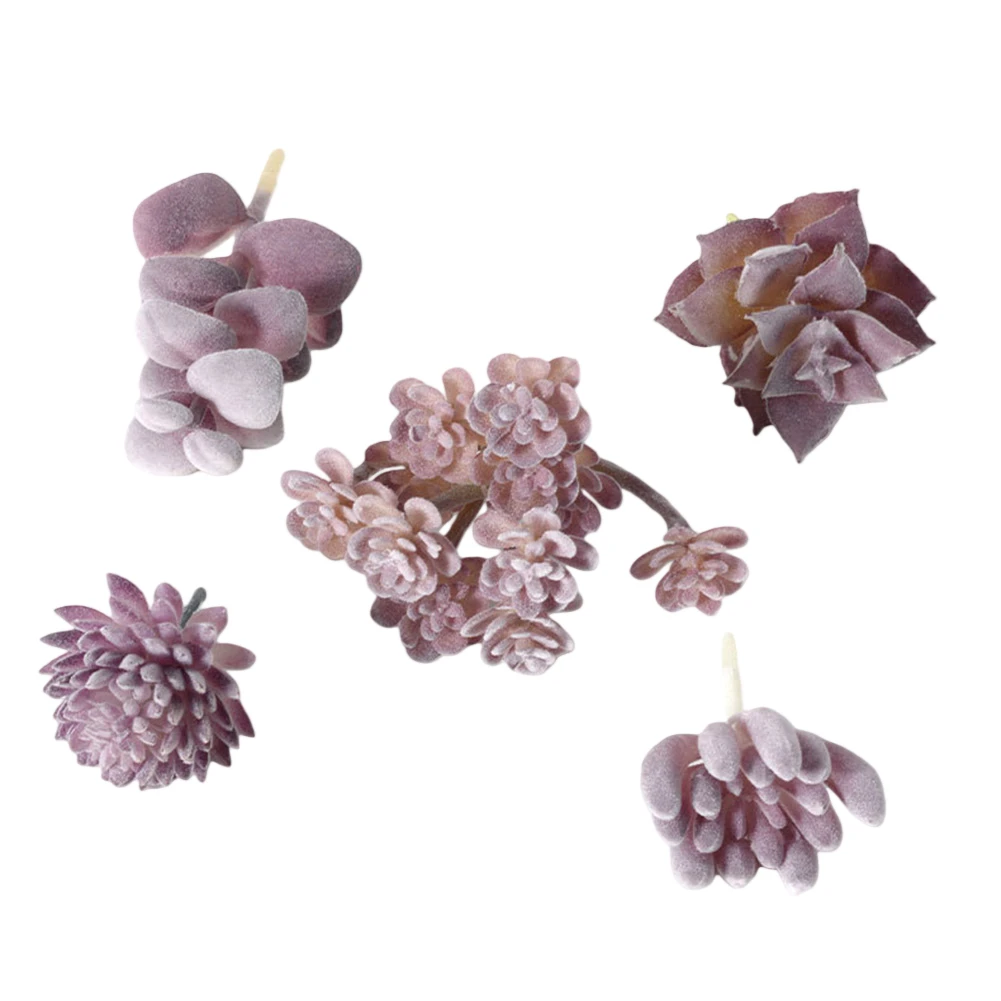 Low Upkeep For Mini Bonsai Suc - Succulent Arrangement Mini ulasan dan harga