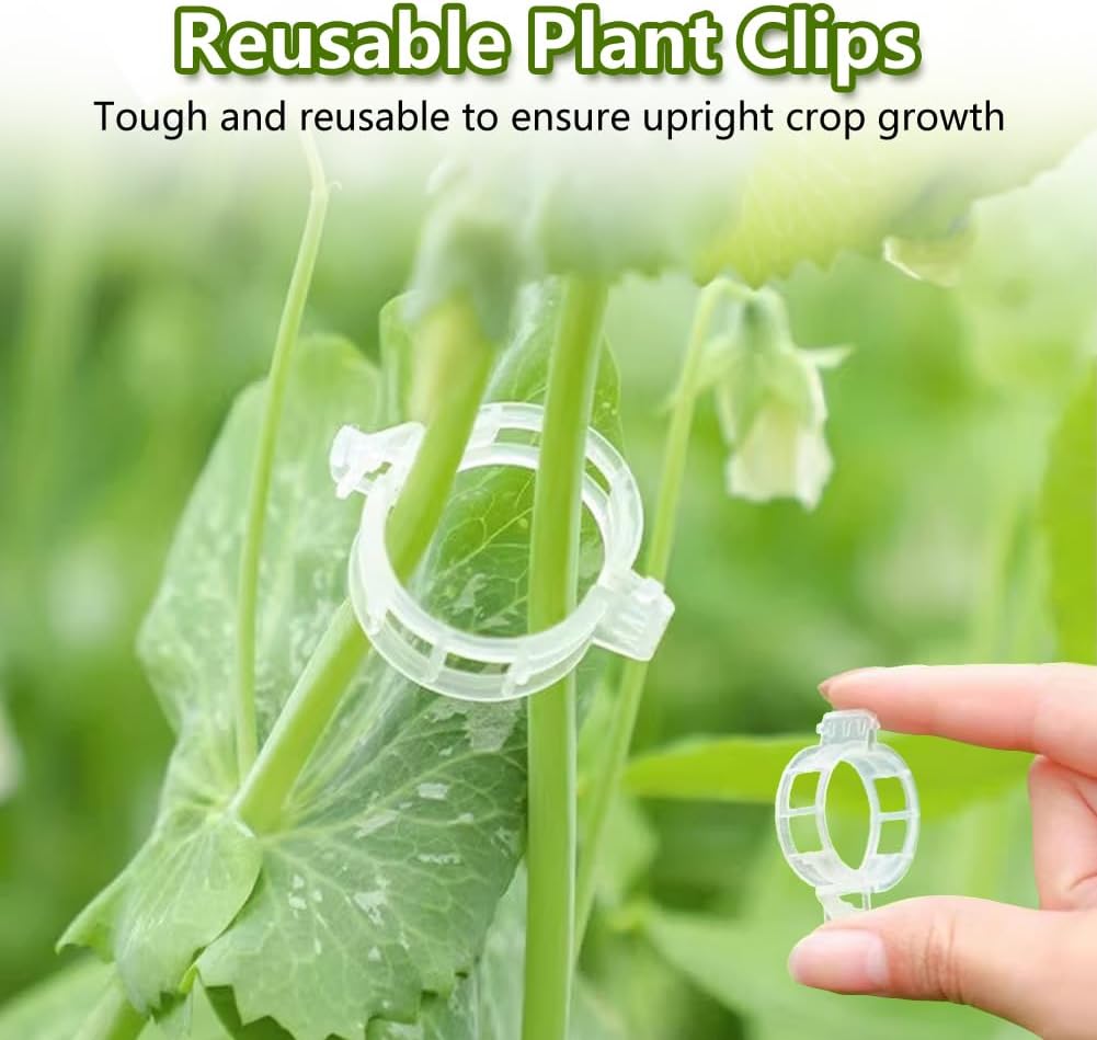100PCS Plant Support Clips Reu - Plant Parenting ulasan dan harga