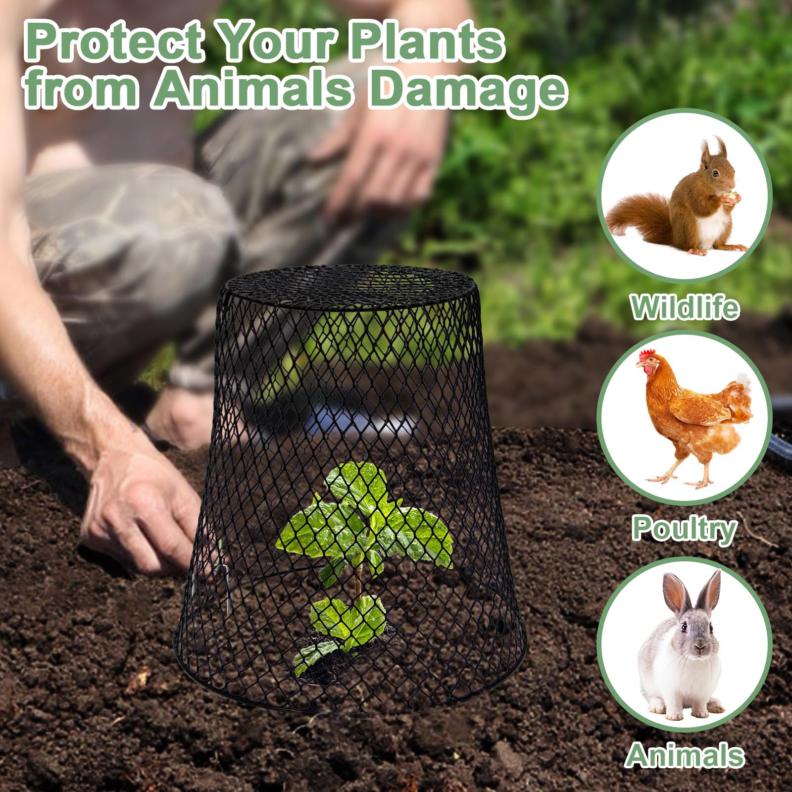 Chicken Wire Cloche Plants Slu - Plant Parent Tools ulasan dan harga