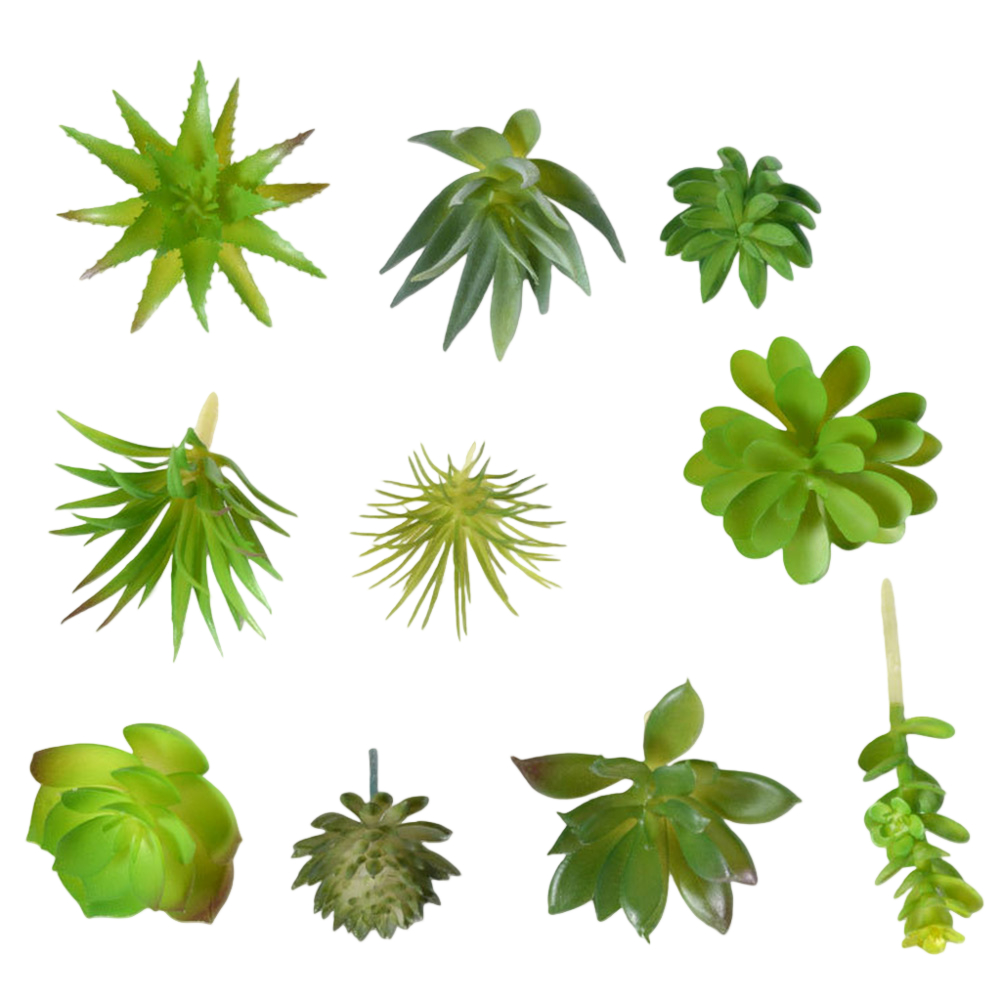 Photography Prop Friendly For  - Succulent Arrangement Mini ulasan dan harga