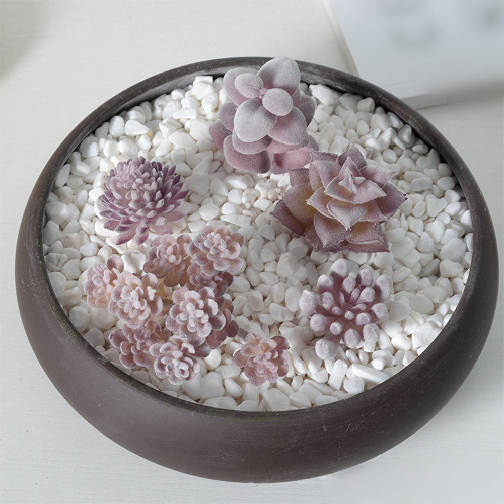Photography Prop Friendly For  - Succulent Arrangement Mini ulasan dan harga