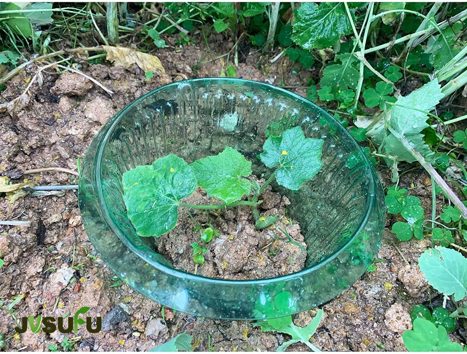 1/30pcs Plants Slug Protection - Plant Parent Tools ulasan dan harga