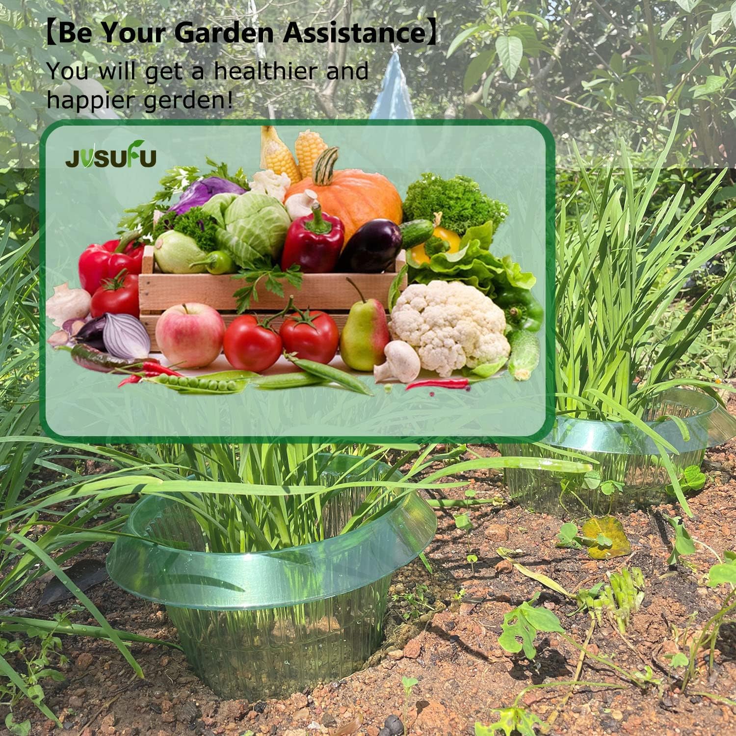 1/30pcs Plants Slug Protection - Plant Parent Tools ulasan dan harga