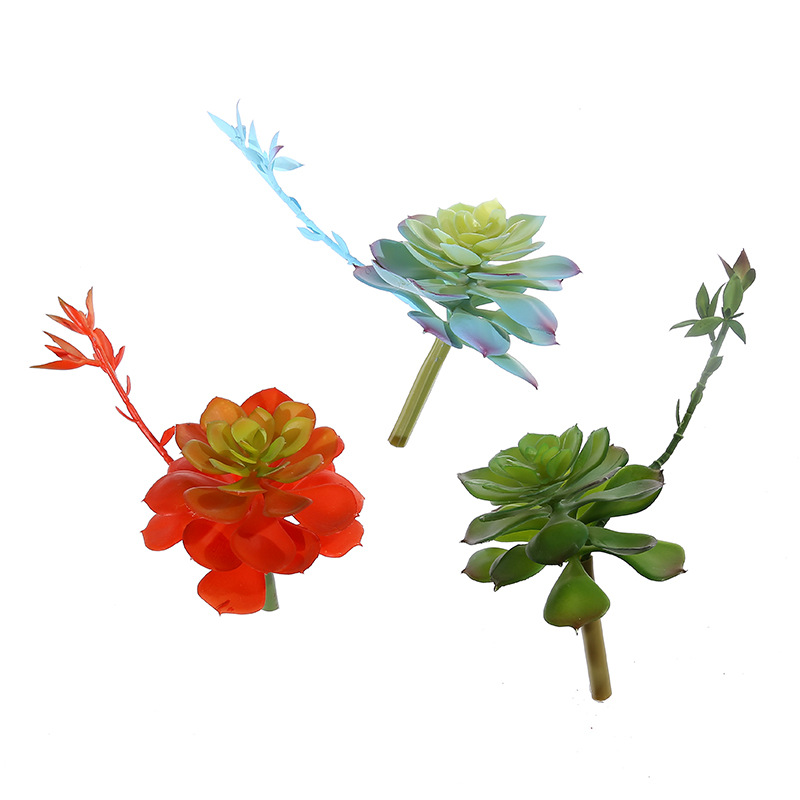 Wusmart Zhong Shi Lian Large A - Succulent Arrangement Mini ulasan dan harga