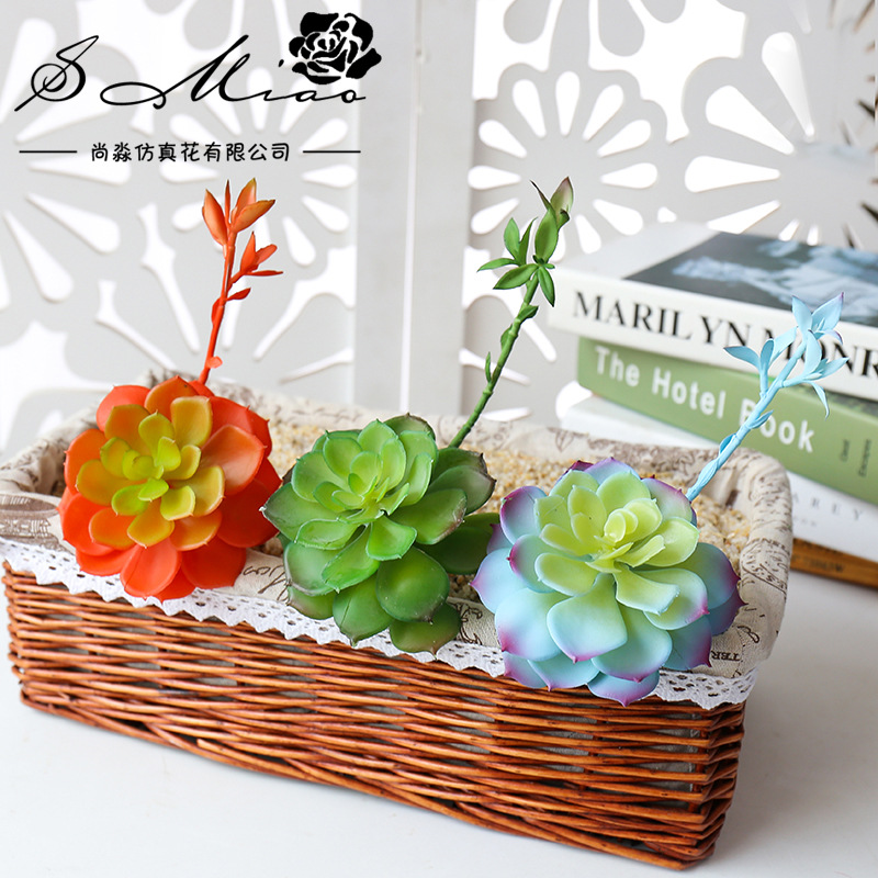 Wusmart Zhong Shi Lian Large A - Succulent Arrangement Mini ulasan dan harga