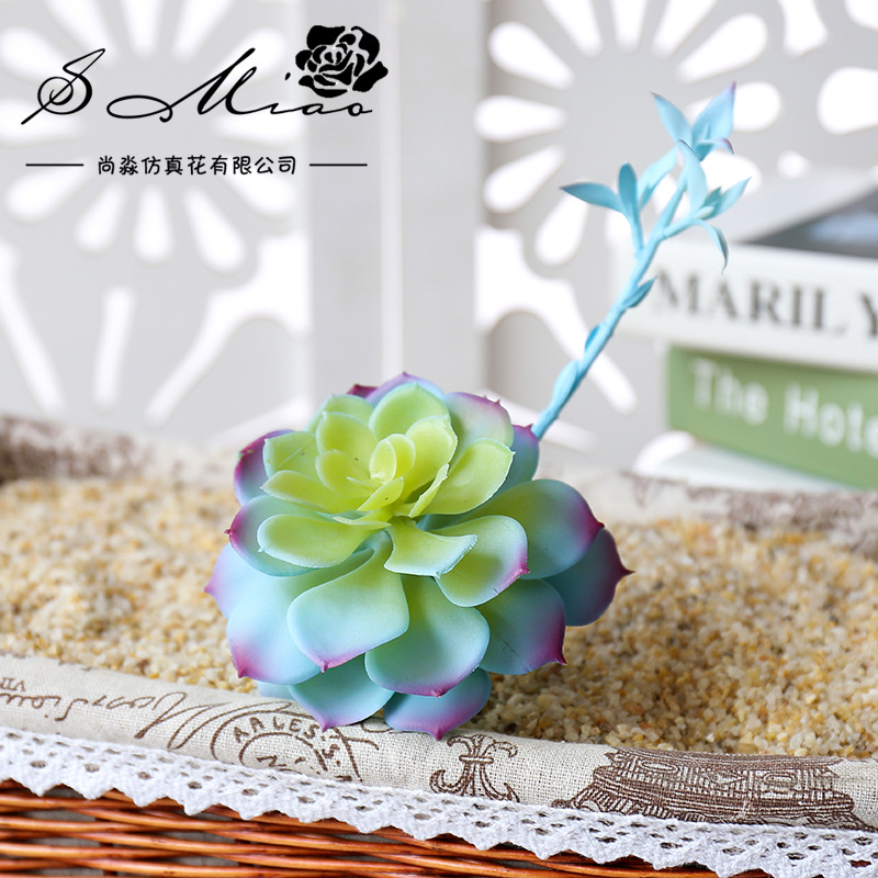 Wusmart Zhong Shi Lian Large A - Succulent Arrangement Mini ulasan dan harga