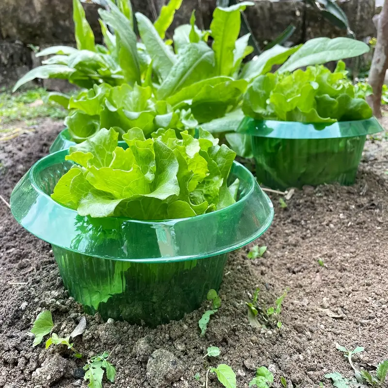 Plants Slug Protection Rings V - Plant Parent Tools ulasan dan harga