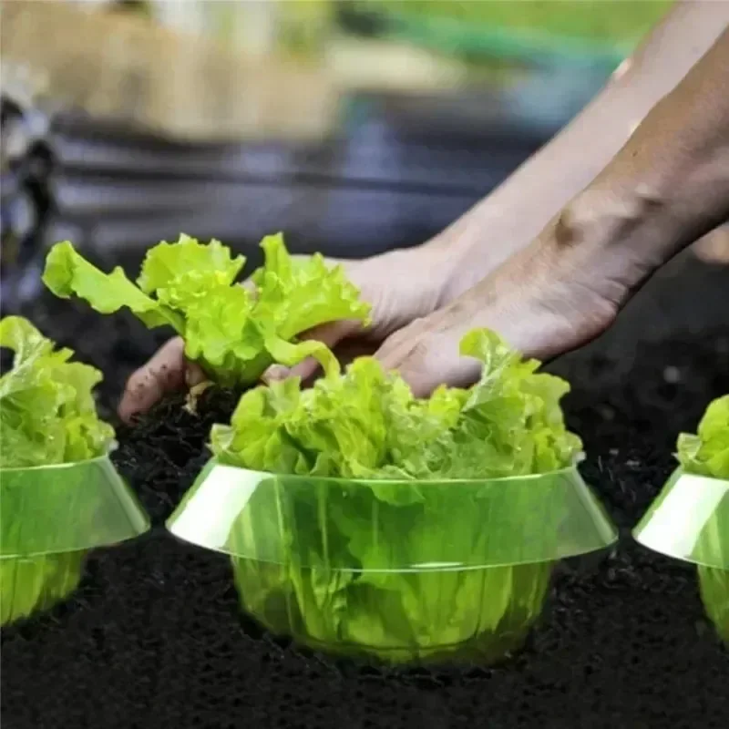 Plants Slug Protection Rings V - Plant Parent Tools ulasan dan harga