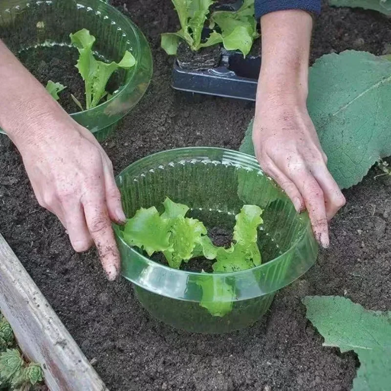 Plants Slug Protection Rings V - Plant Parent Tools ulasan dan harga