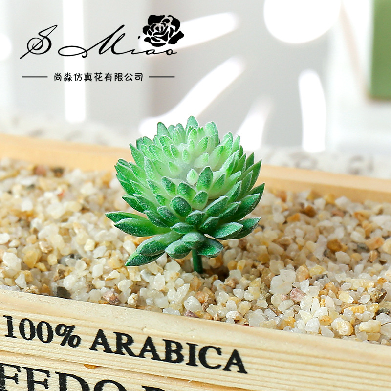 Wusmart Ji Wa Lian Artificial  - Succulent Arrangement Mini ulasan dan harga