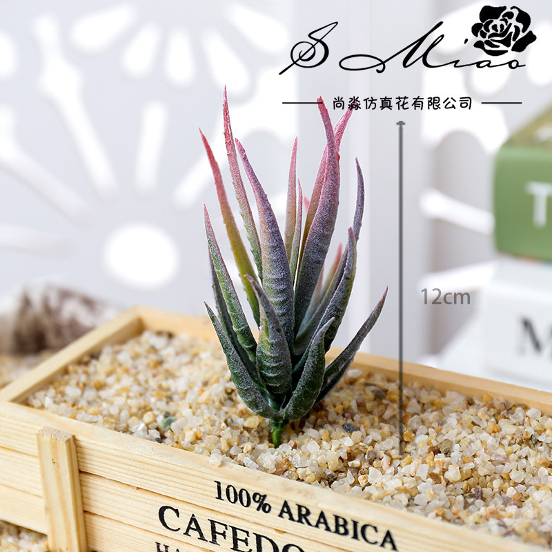 Wusmart Ban Ma Lu Hui Artifici - Succulent Arrangement Mini ulasan dan harga