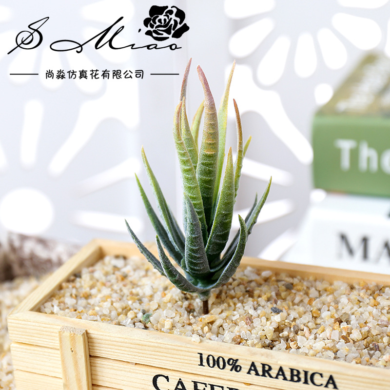 Wusmart Ban Ma Lu Hui Artifici - Succulent Arrangement Mini ulasan dan harga
