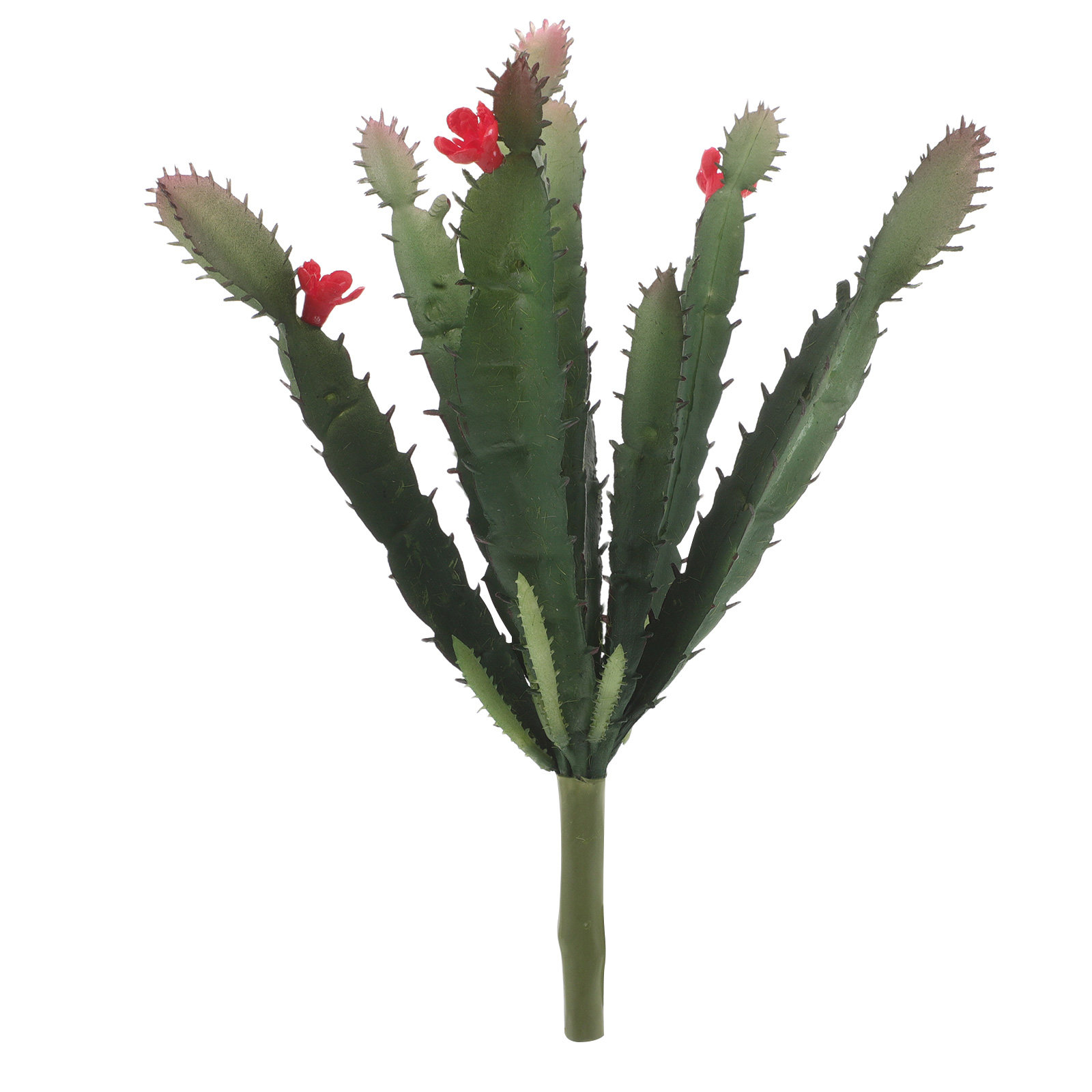 Lifelike Mini Faux Cactus Succ - Succulent Arrangement Mini ulasan dan harga