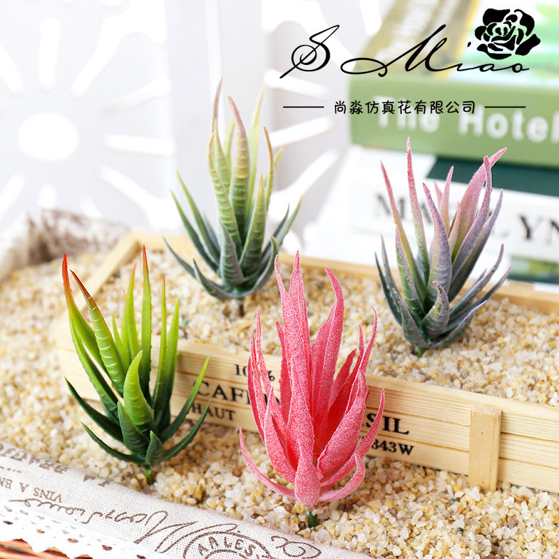 Wusmart Ban Ma Lu Hui Artifici - Succulent Arrangement Mini ulasan dan harga