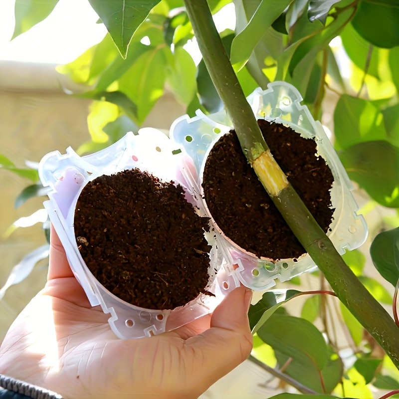 10Pcs High Pressure Plant Root - Plant Parent Tools ulasan dan harga