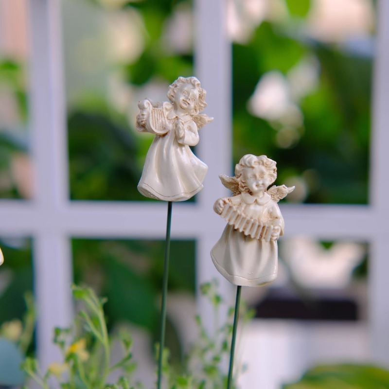 Angel Flower Arranger for Succ - Succulent Arrangement Mini ulasan dan harga