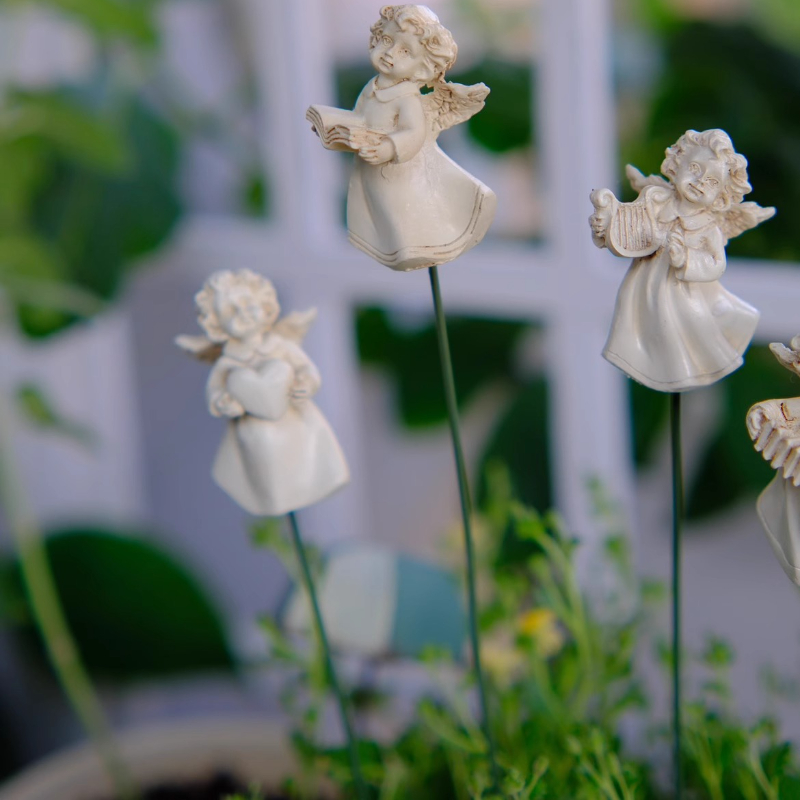 Angel Flower Arranger for Succ - Succulent Arrangement Mini ulasan dan harga